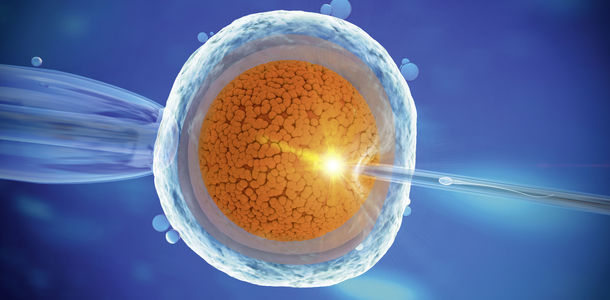 Bild zu Gameten- und Embryonenspende - Verantwortliche Elternschaft
