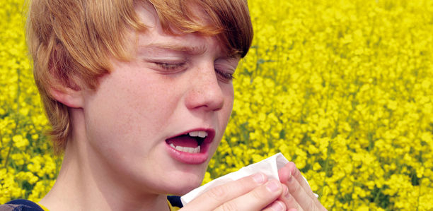 Bild: fotolia - grafikplusfoto Bild zu Nachgefragt - Allergien – 3 Fragen aus der Praxis