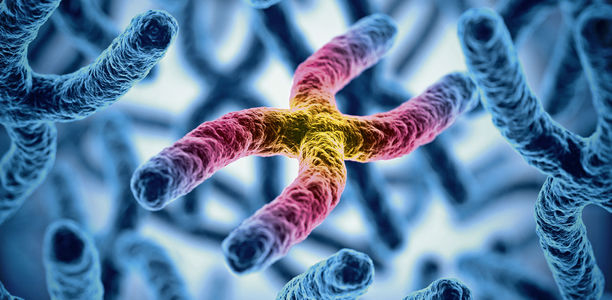 Bild: fotolia - koya979 Bild zu Neutropenien - Genetische Ursachen schwerer chronischer Neutropenien