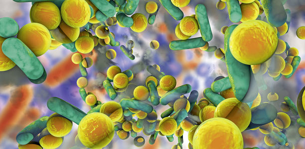 Bild: fotolia - Kateryna_Kon Bild zu Multiresistente Erreger - MRSA-Dekolonisationsbehandlung bei Kindern