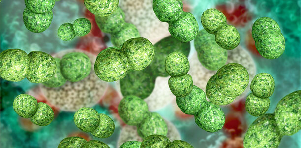Bild: fotoliaxrender - AdobeStock Bild zu Scharlach und andere Infektionen - Altes und Neues zu Streptokokkenerkrankungen