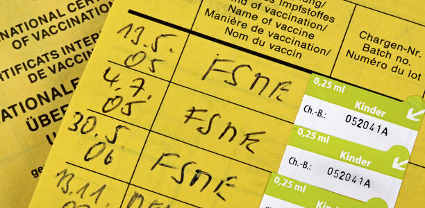 Bild zu Dialog - Immunität nach durchgemachter FSME-Infektion?