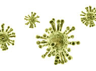 Bild zu COVID-19-Pandemie - Auswirkungen auf die Durchführung von Impfungen in Arztpraxen