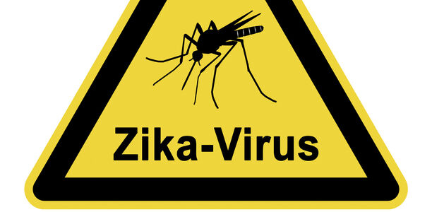 Bild zu Virus-Erkrankungen in der Schwangerschaft - Zika-Virus-Infektion bei Schwangeren in Kolumbien