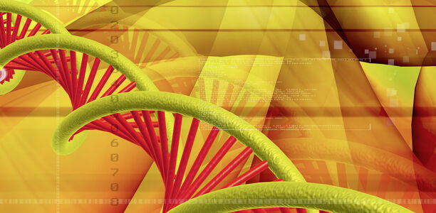 Bild zu Epigenetik - Neue Konventionen in der Biologie: Vererbung jenseits der Gene