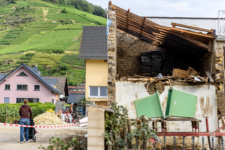 Bild: Dwi - stock.adobe.com