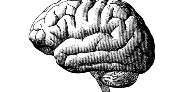 Bild zu Bedeutung für die Entwicklungsneurologie und Sozialpädiatrie - Paradigmen, Modell-Vorstellungen und Zeitgeist 