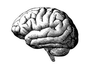Bild zu Bedeutung für die Entwicklungsneurologie und Sozialpädiatrie - Paradigmen, Modell-Vorstellungen und Zeitgeist 