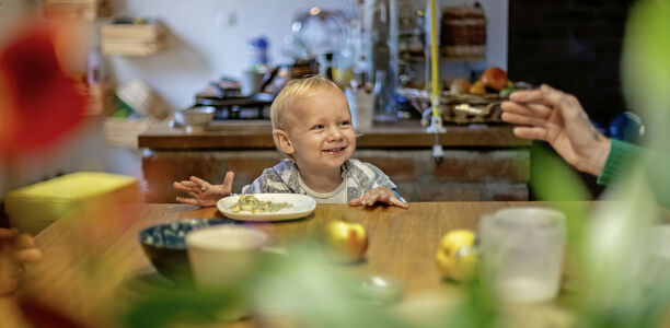 Bild zu Gesunde Ernährung - Wie entstehen präventive Konzepte für das Kontinuum der Kinderernährung?