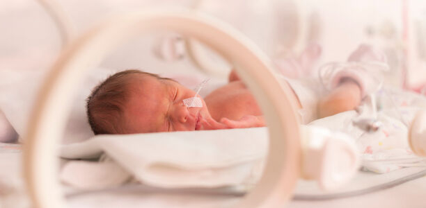 Bild zu Sehr unreife Frühgeborene (VLBW) - Epidemiologie der „Early and Late Onset“-neonatalen Sepsis 