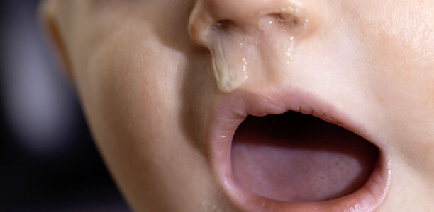 Bild: HENADZY - stock.adobe.com Bild zu Antibiotika-Serie der YoungDGPI - Ambulante Standardbehandlung der akuten Sinusitis