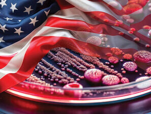 Bild zu  Gruppe-A-Streptokokken - Invasive Infektionen in 10 amerikanischen Bundesstaaten