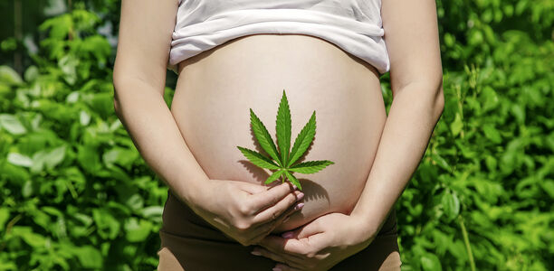 Bild zu Cannabis - Pränataler Konsum und neonatale Folgen
