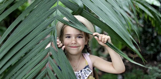 Bild zu Infektiologischer Leitfaden -   Krank von der (Tropen-)Reise zurück: Worauf man achten sollte
