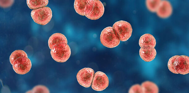 Bild zu Atemwegserkrankung Pneumokokken - Was gibt’s Neues bezüglich der Impfungen?