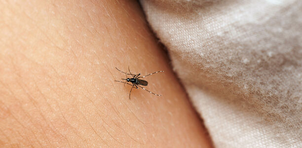 Bild zu Malaria im Praxisalltag - Worauf Kinderärztinnen und Kinderärzte achten sollten