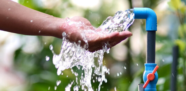 Bild zu Praxiskolumne - Soziogene/iatrogene Polydipsie