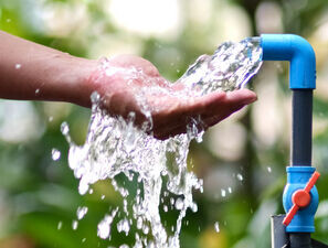 Bild zu Praxiskolumne - Soziogene/iatrogene Polydipsie