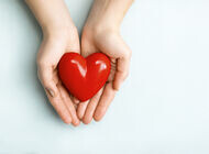 Bild zu Prävention von Geburt an - Kardiovaskuläre Risiken begünstigen kognitive Defizite